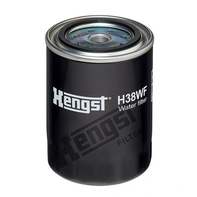 H38WF Hengst