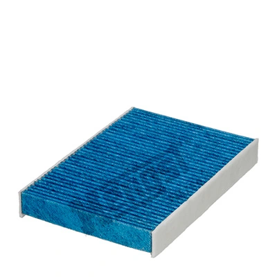 E2988LB Hengst