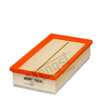 E616L Hengst