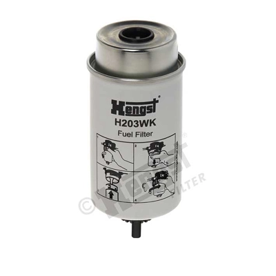 H203WK Hengst