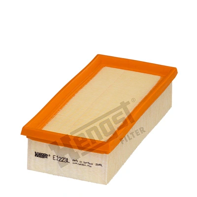 E1223L Hengst