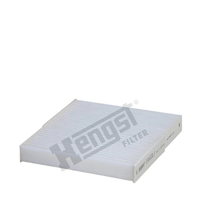 E4933LI Hengst