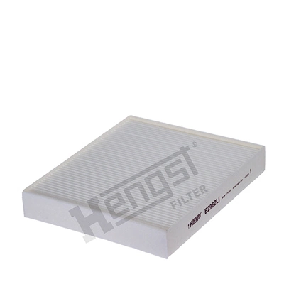E2962LI Hengst