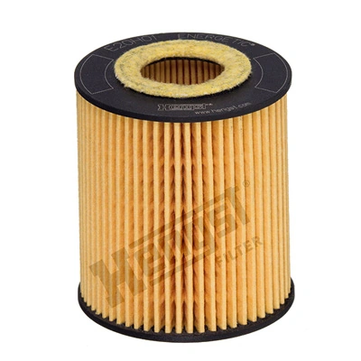 E20H01D293 Hengst