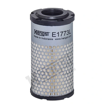 E1773L Hengst