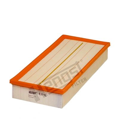 E371L Hengst