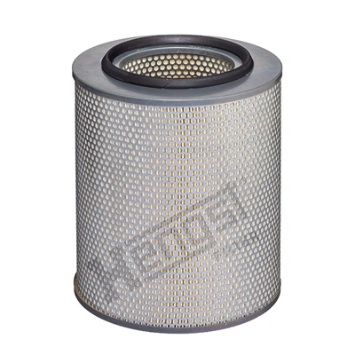 E219L Hengst