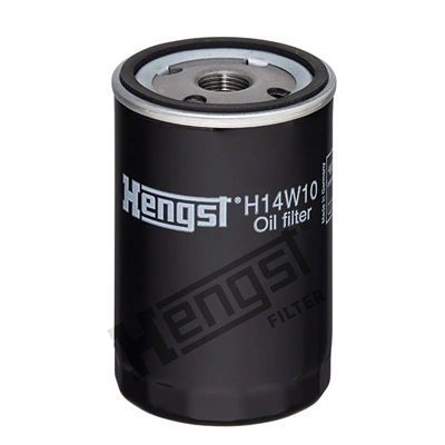 H14W10 Hengst