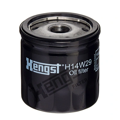 H14W29 Hengst
