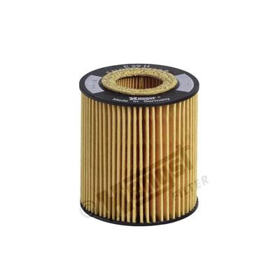 E29HD89 Hengst