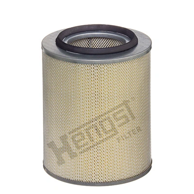 E133L Hengst
