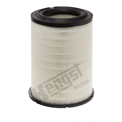 E1006L Hengst
