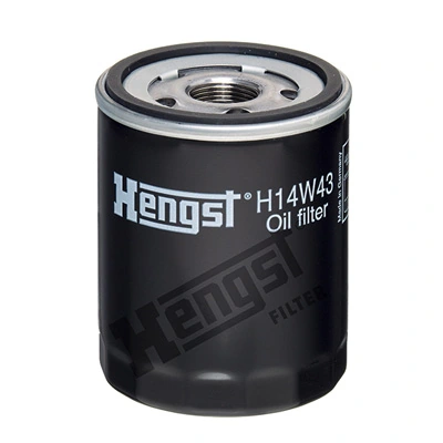 H14W43 Hengst