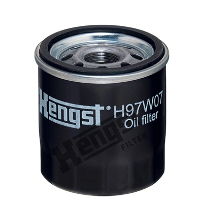 H97W07 Hengst