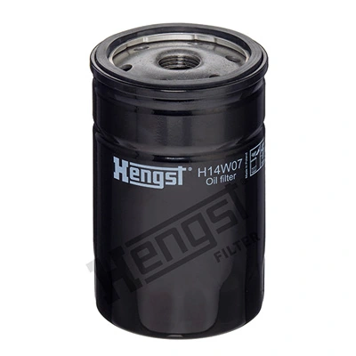 H14W07 Hengst