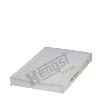 E2979LI Hengst