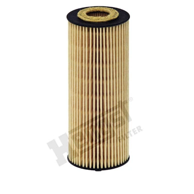 E155HD122 Hengst