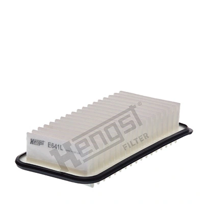 E641L Hengst
