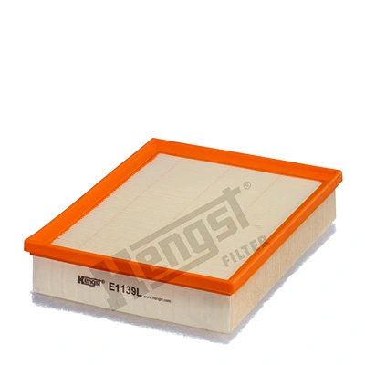 E1139L Hengst