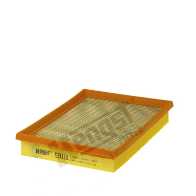 E818L Hengst