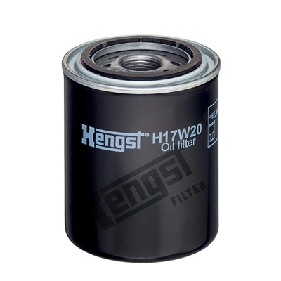 H17W20 Hengst