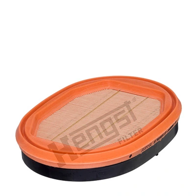 E1669LS Hengst