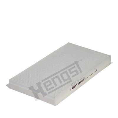 E2963LI Hengst