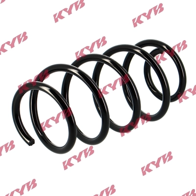 Mola dianteira para Ford Escape II DM2