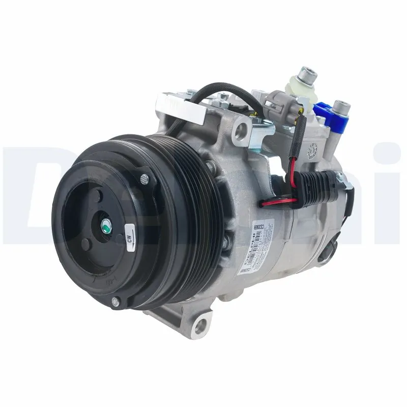 CS20659 Delphi