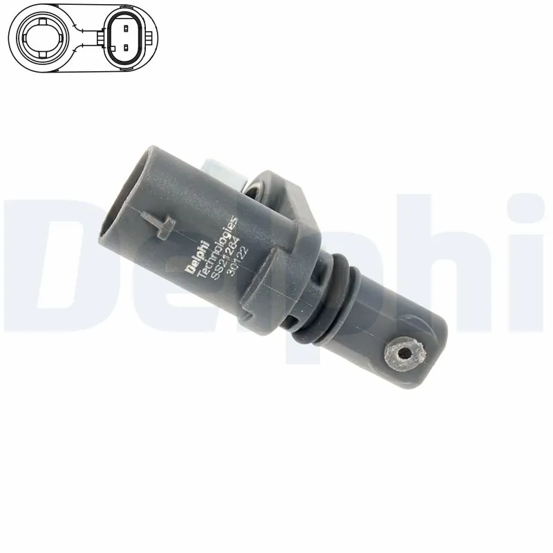 SS2126412B1 Delphi