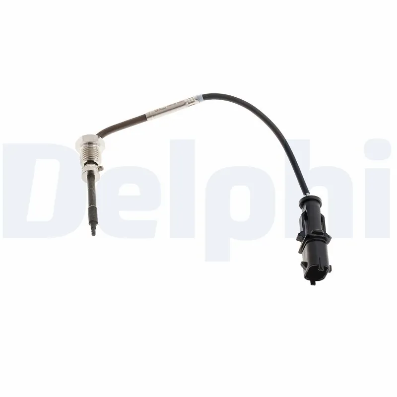 TS30167 Delphi
