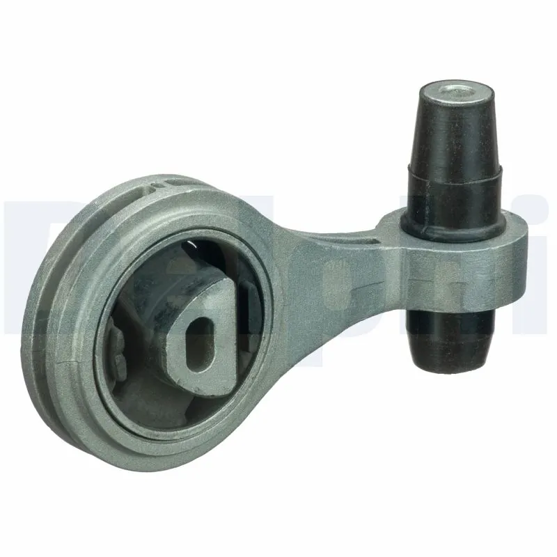 TEM088 Delphi