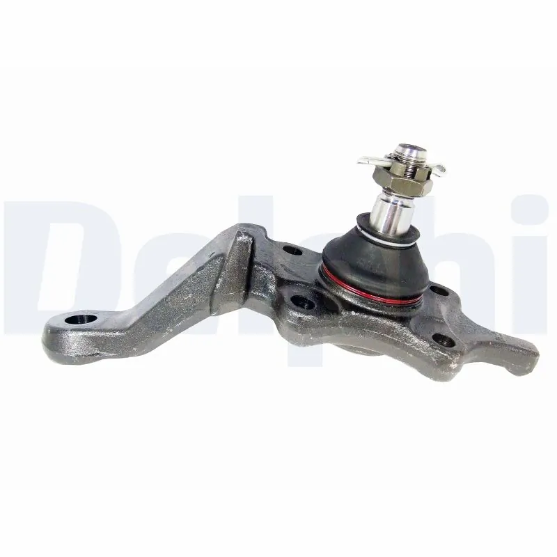 TC1794 Delphi