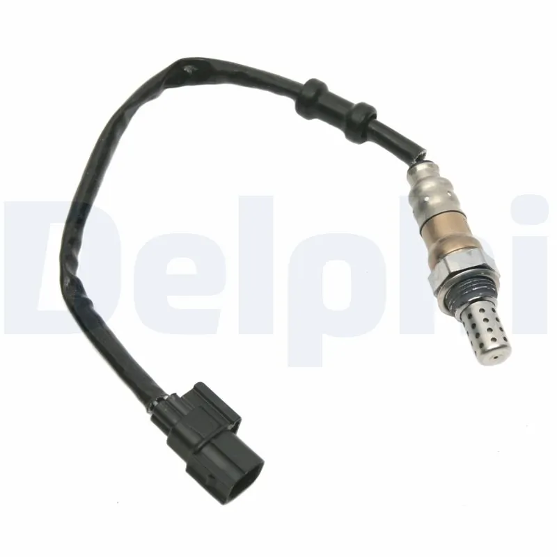 ES2035612B1 Delphi