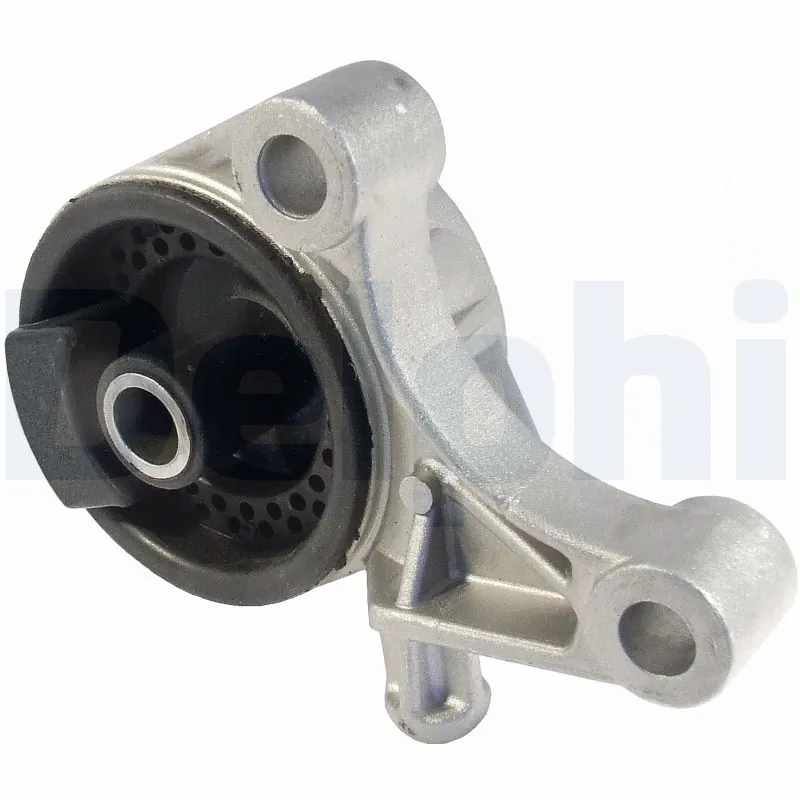 TEM006 Delphi