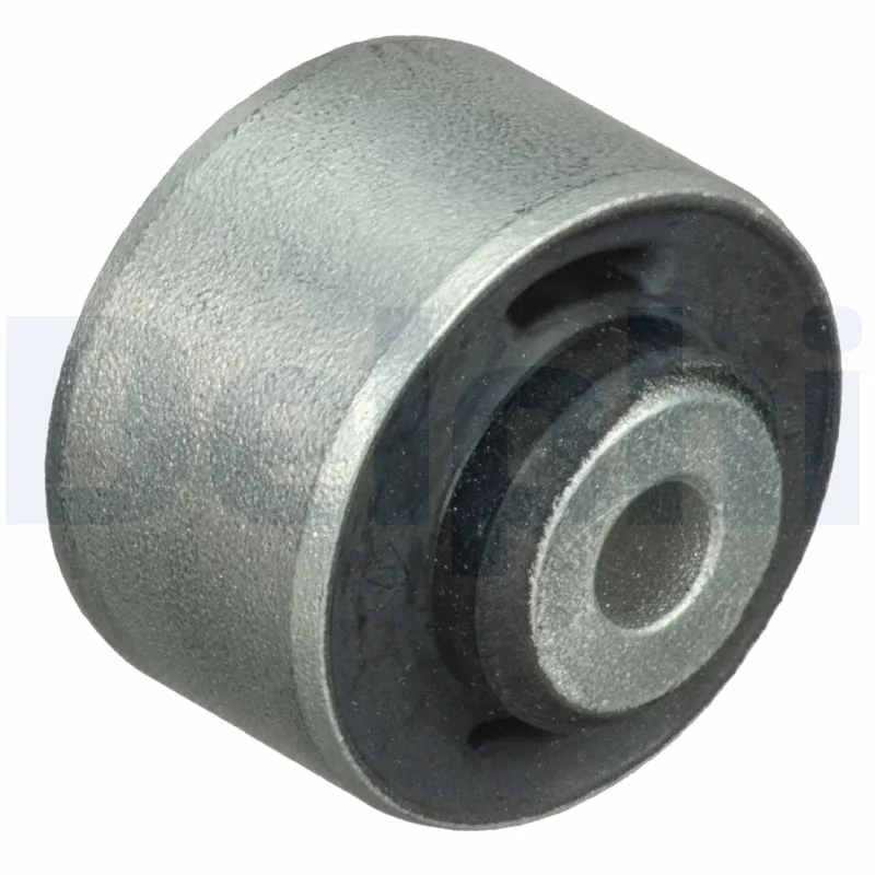 TD1062W Delphi