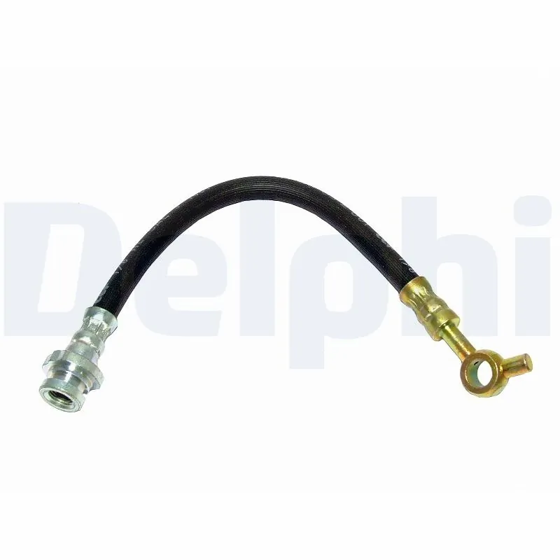 LH6217 Delphi