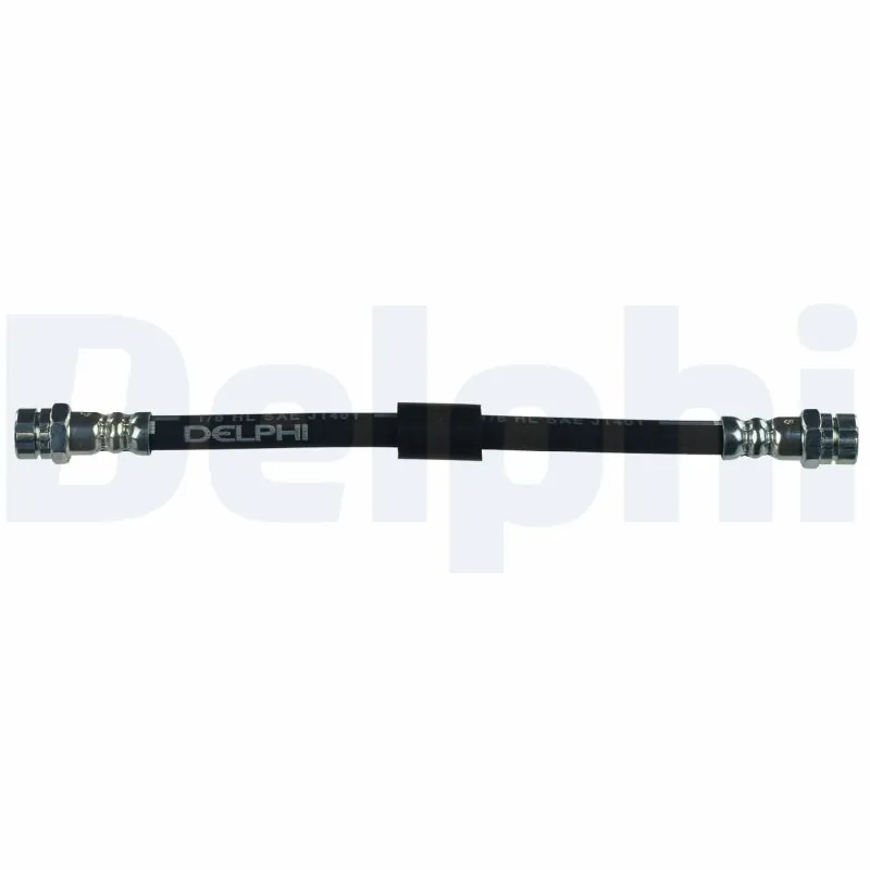 LH7202 Delphi