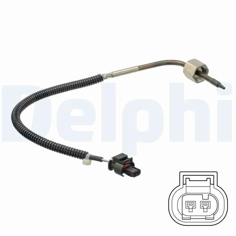 TS30203 Delphi
