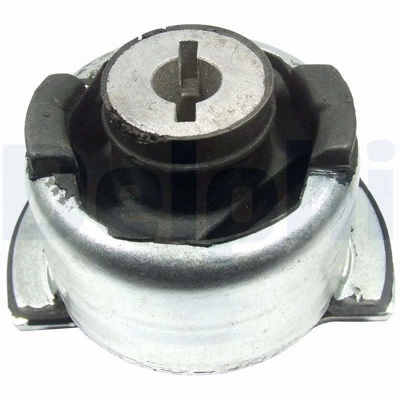 TD690W Delphi