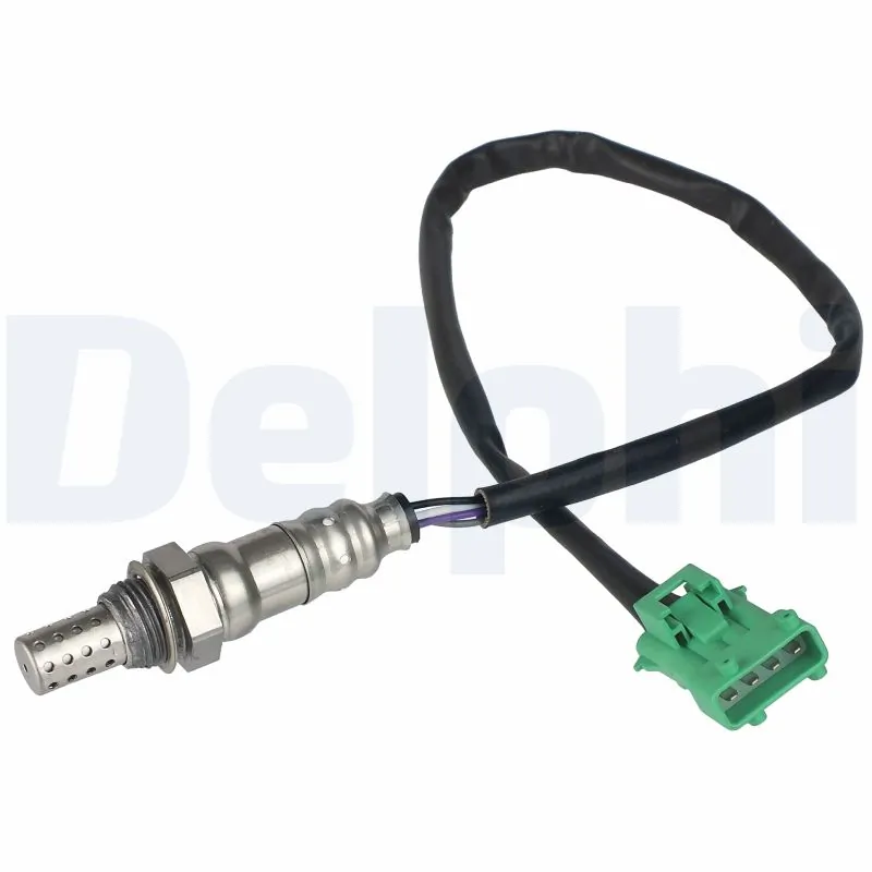 ES2024612B1 Delphi