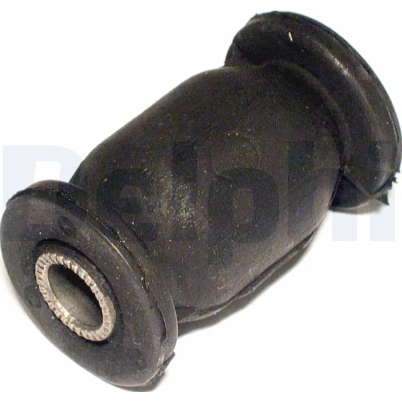 TD419W Delphi