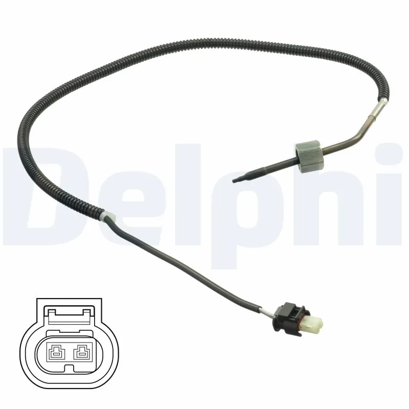 TS30183 Delphi