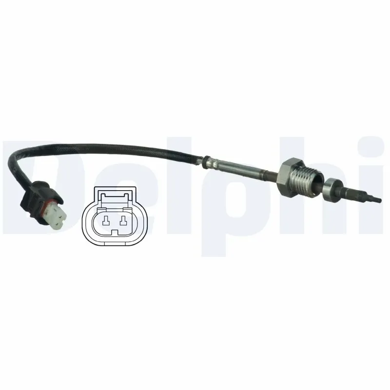 TS30068 Delphi