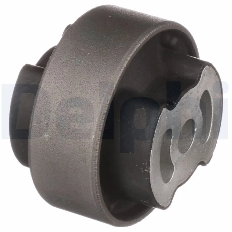 TD5060W Delphi