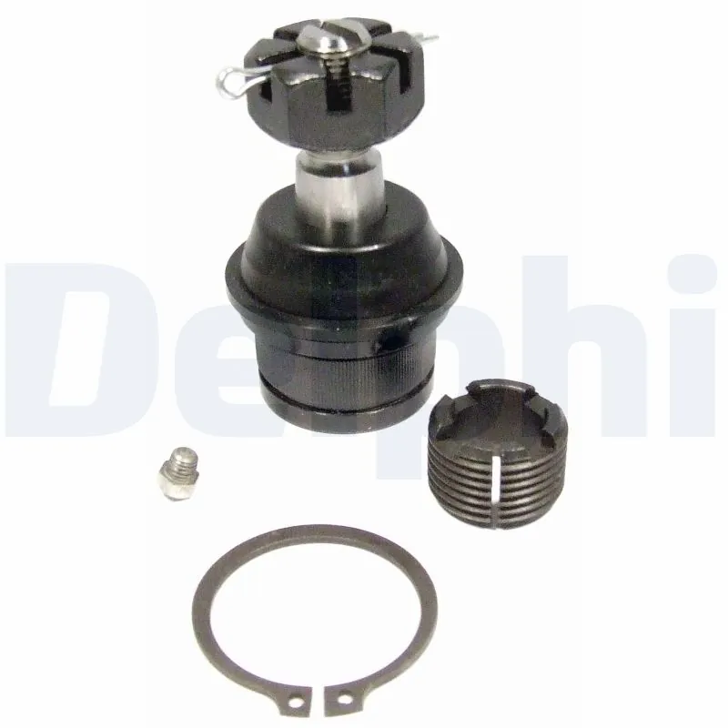 TC1690 Delphi