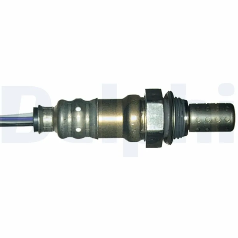 ES2004012B1 Delphi