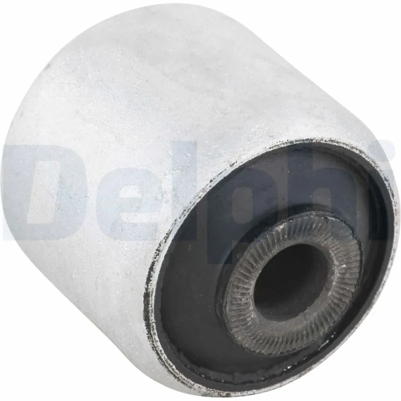 TD477W Delphi