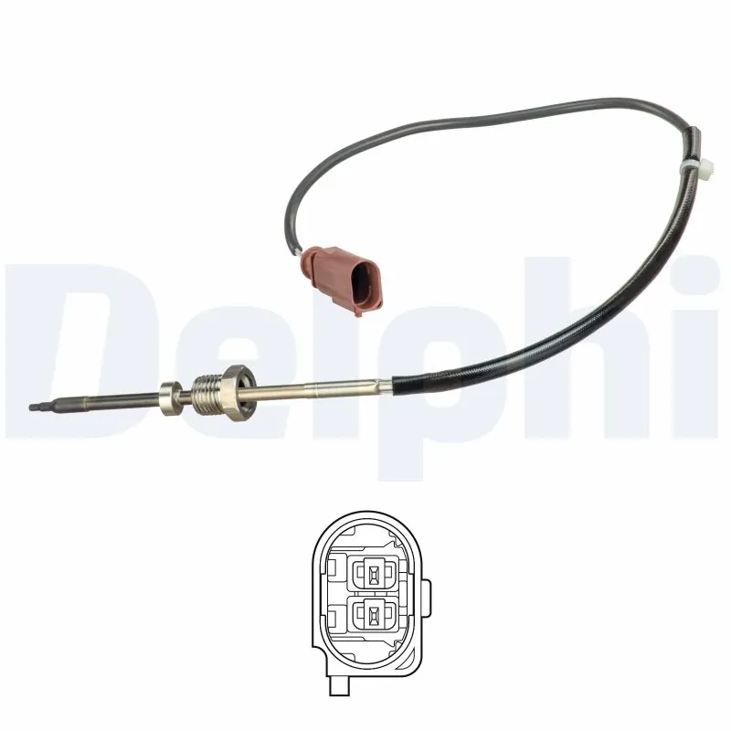 TS30259 Delphi