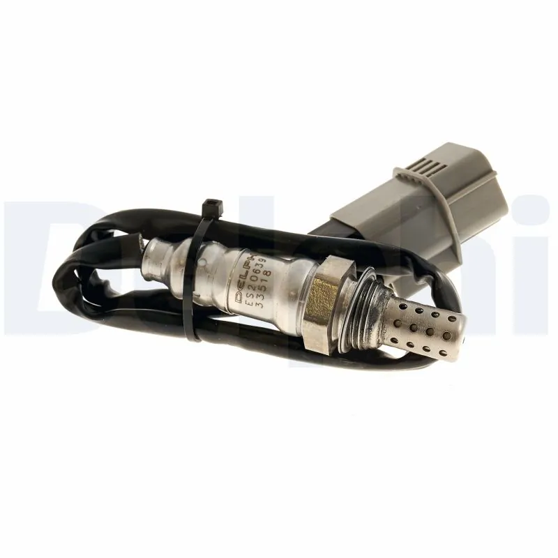 ES2063912B1 Delphi